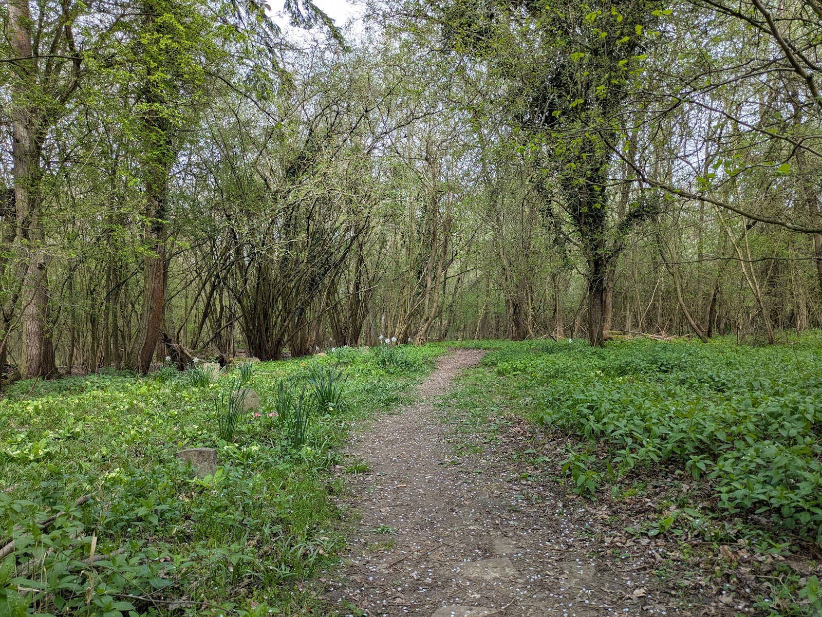 Phyllis Currie Nature Reserve