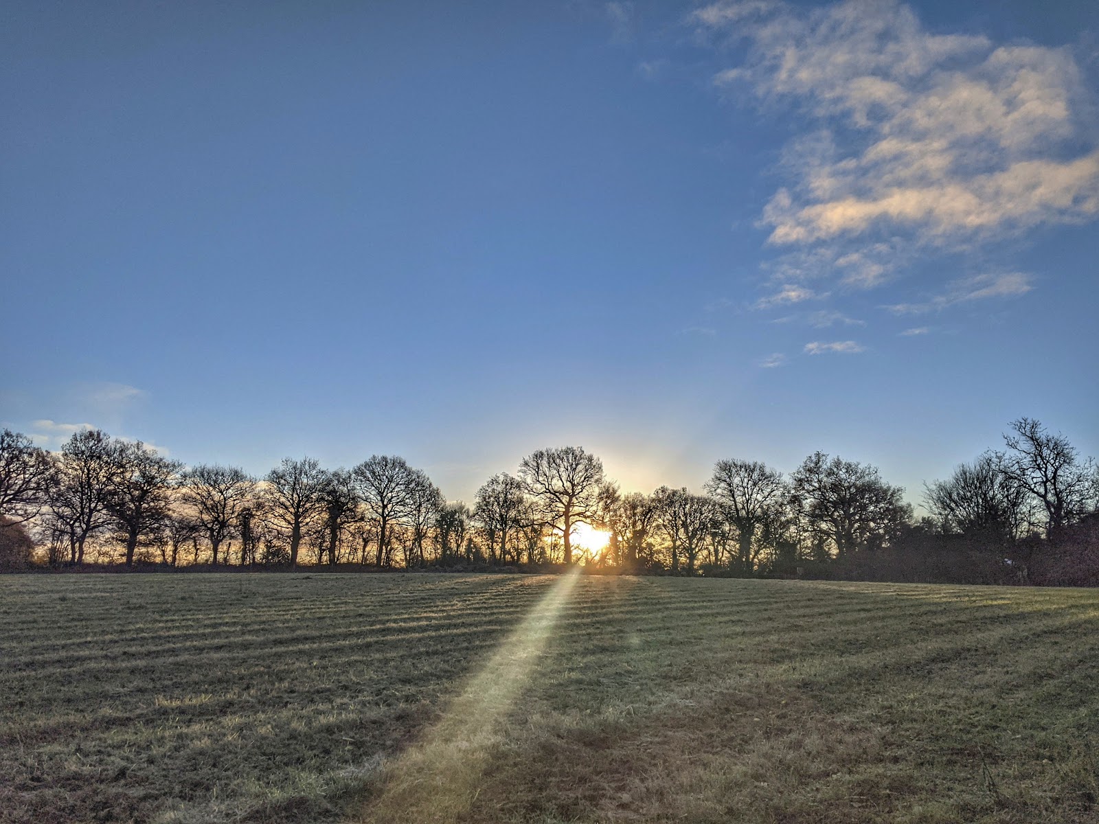 Phyllis Currie Nature Reserve