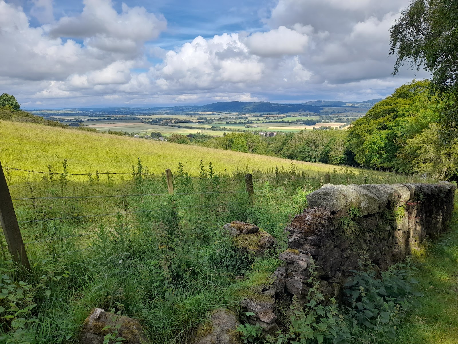 Pitmedden Forest Trails — Place photograph