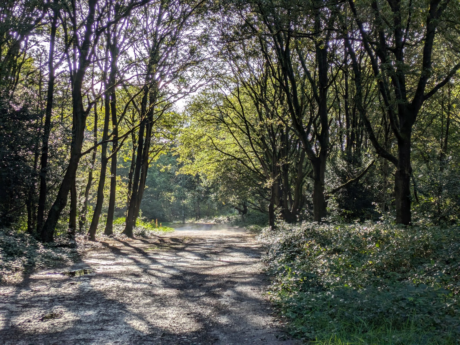 Putney Heath — Place photograph