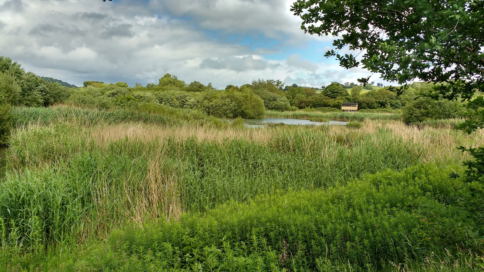 Pwll Penarth Nature Reserve — Place photograph