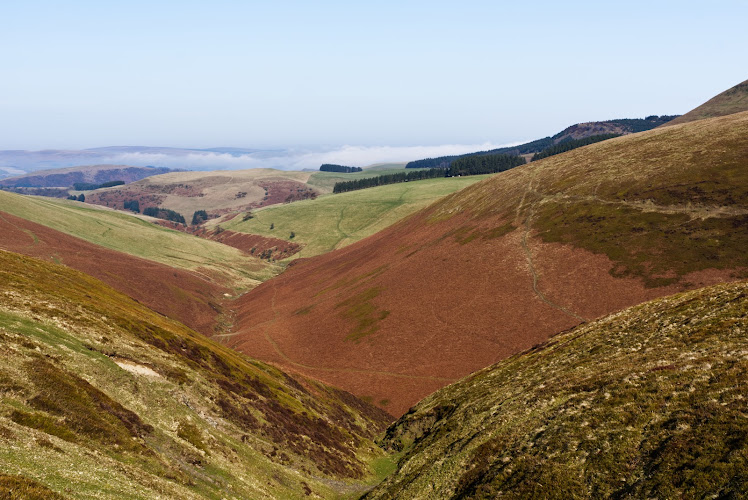 Radnor Forest — Source image