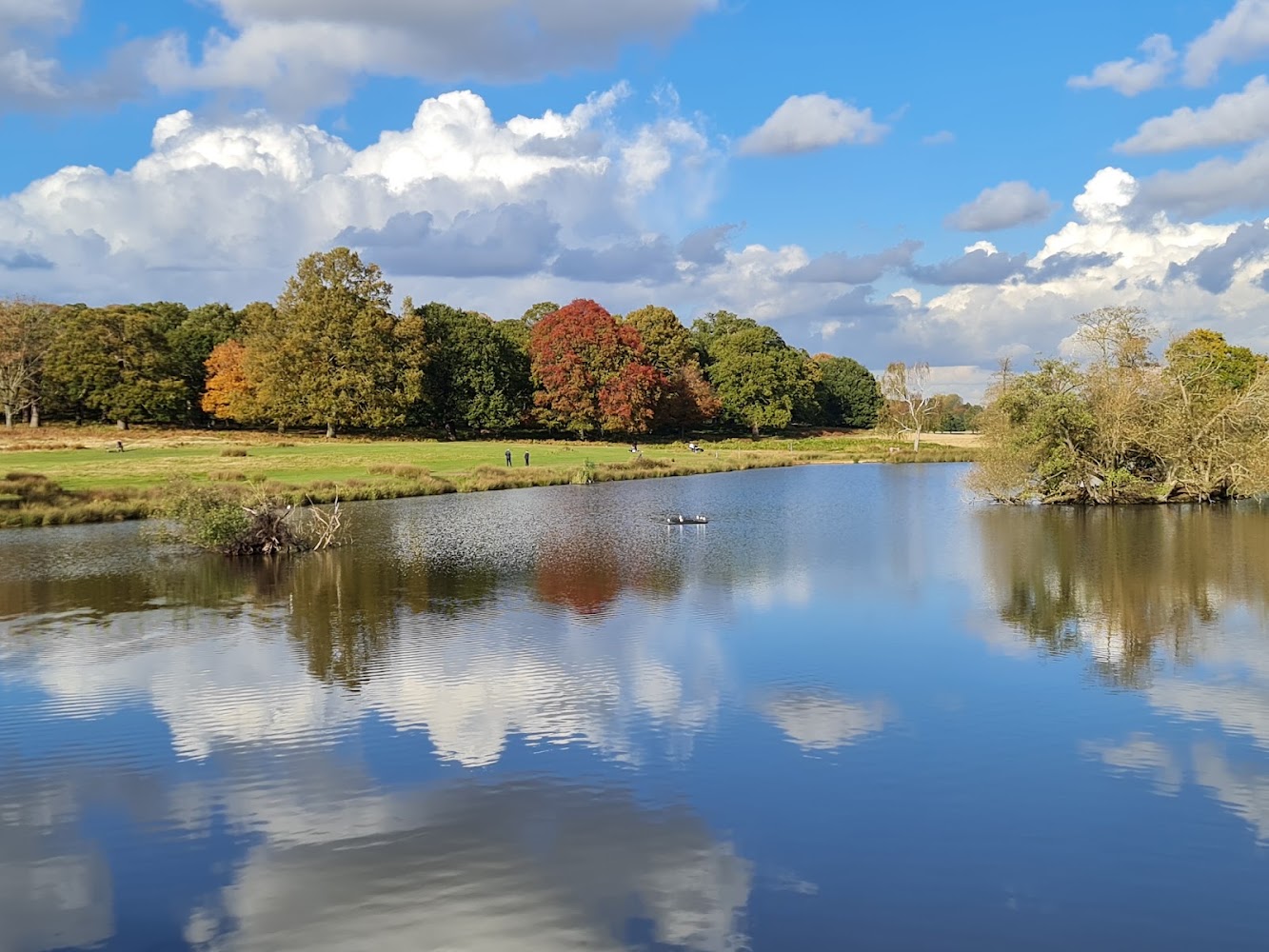 Richmond Park — Source image