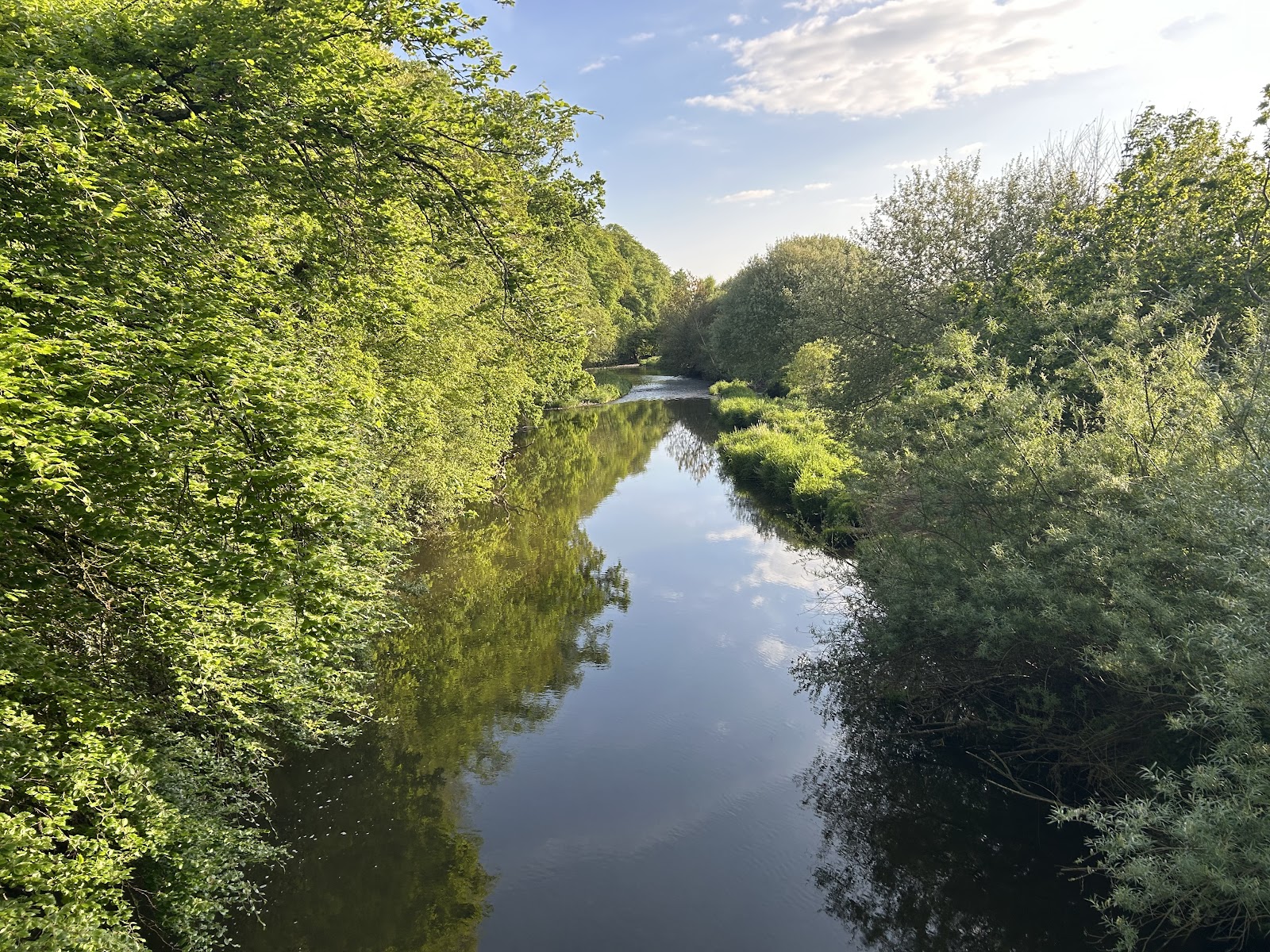 River Otter Beaver Walk, Otterton — Place photograph