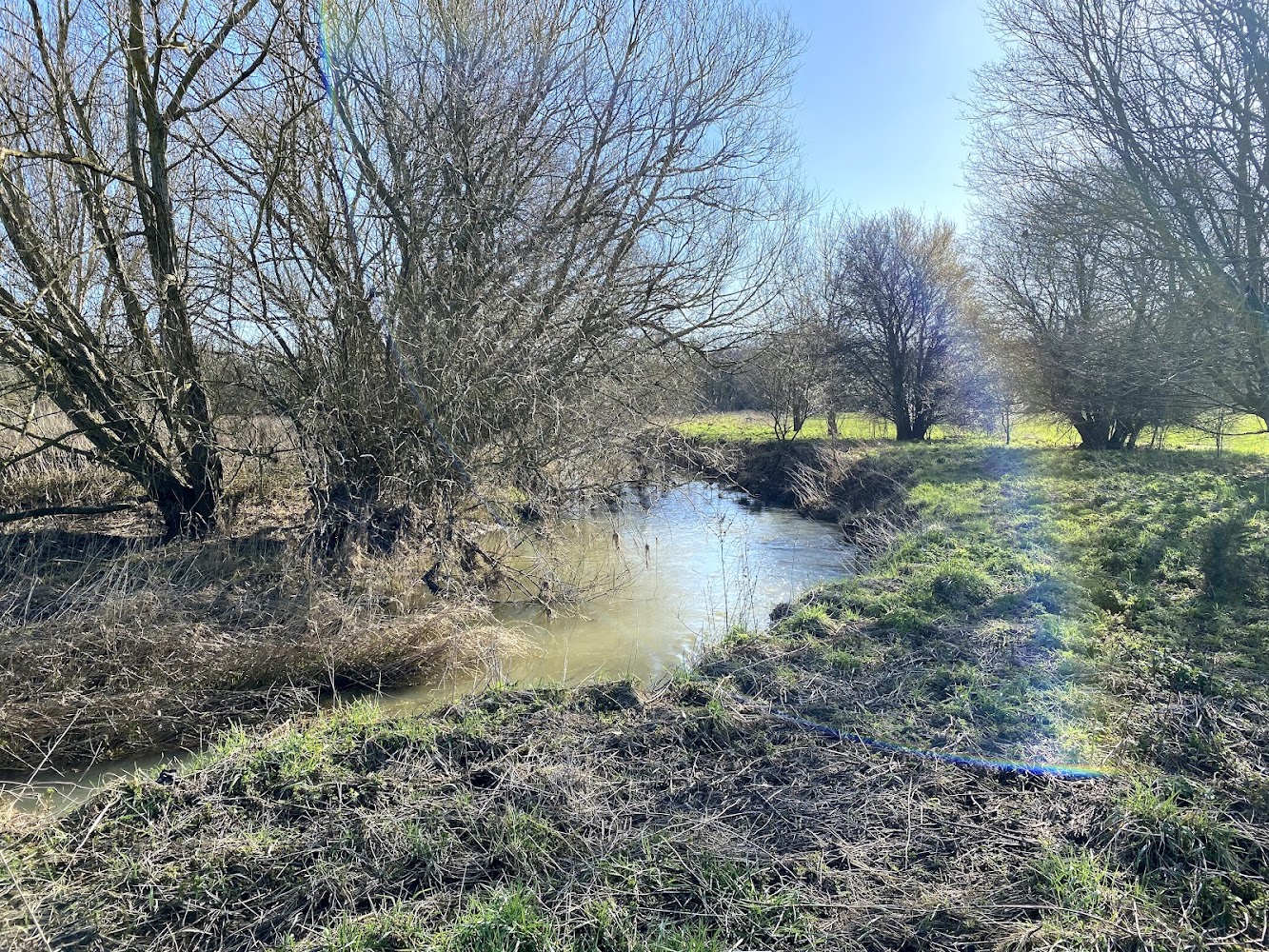 Roding Valley Meadows — Source image