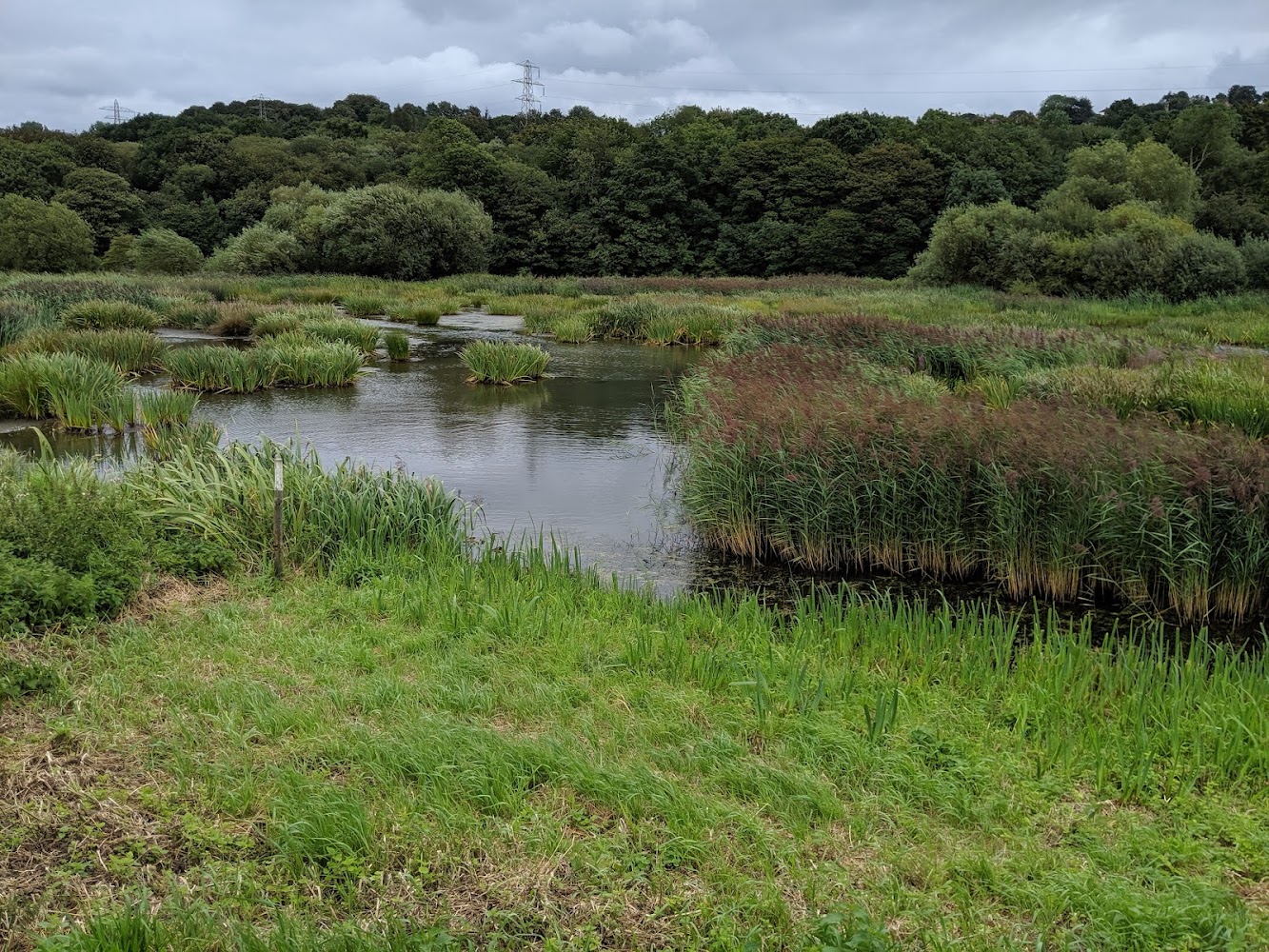 Rodley Nature Reserve — Source image
