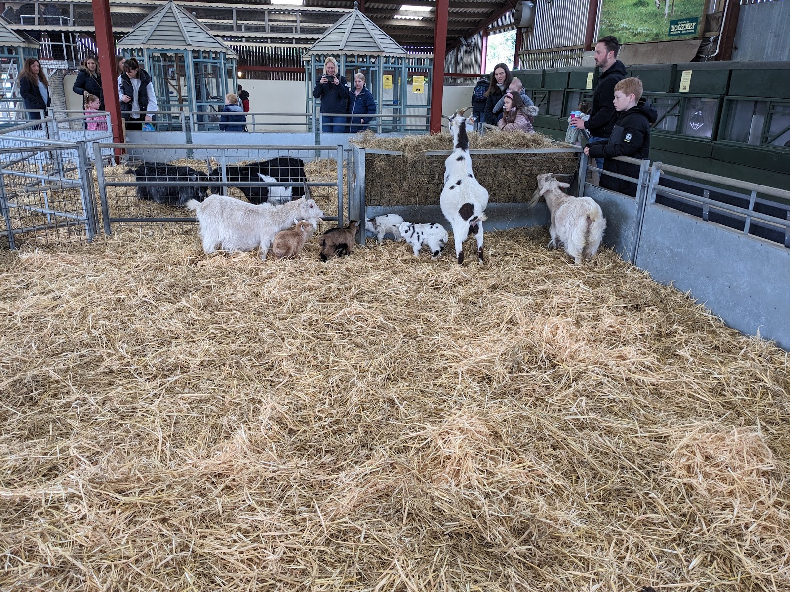Rookery Open Farm — Place photograph