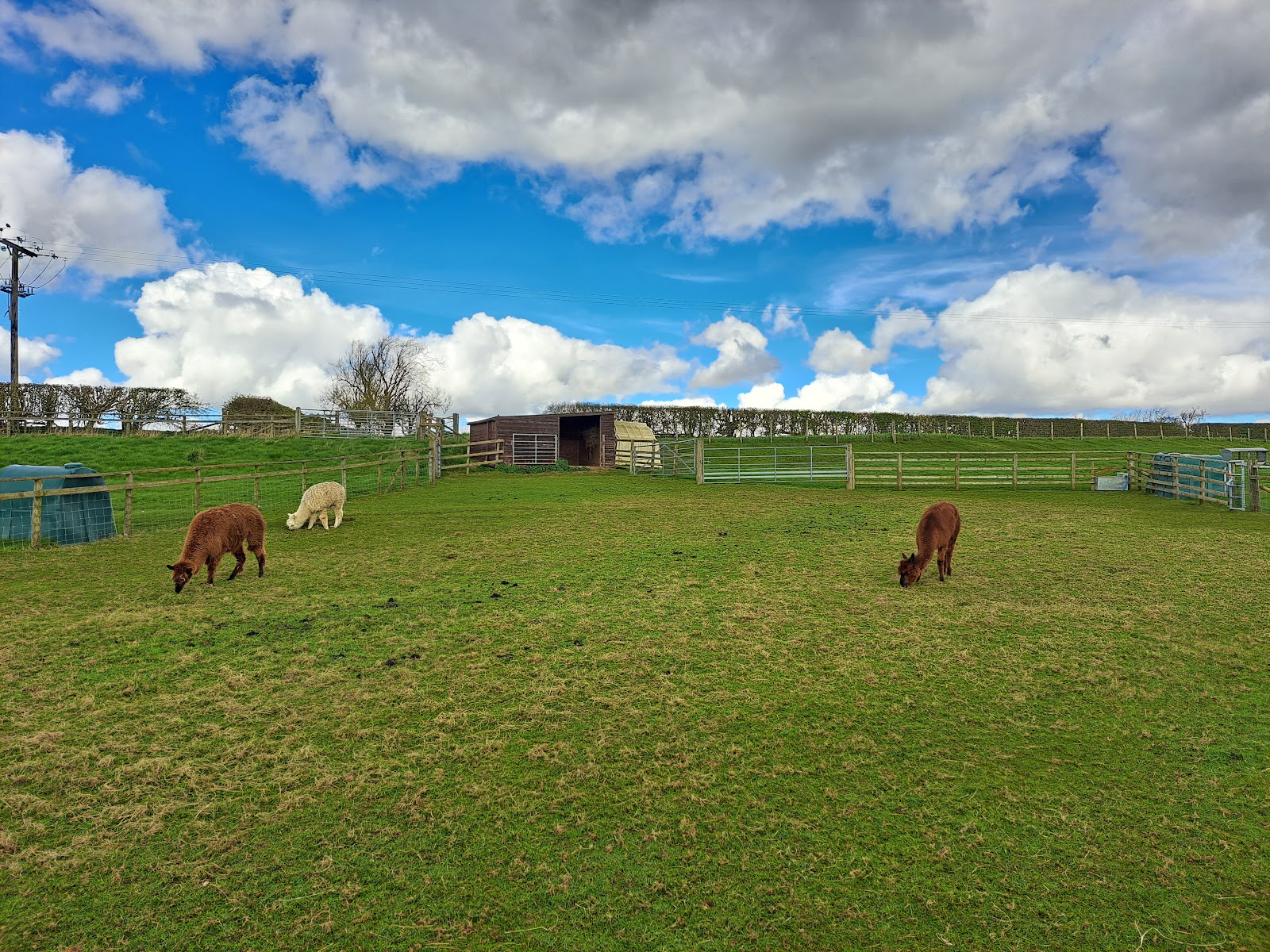 Rookery Open Farm