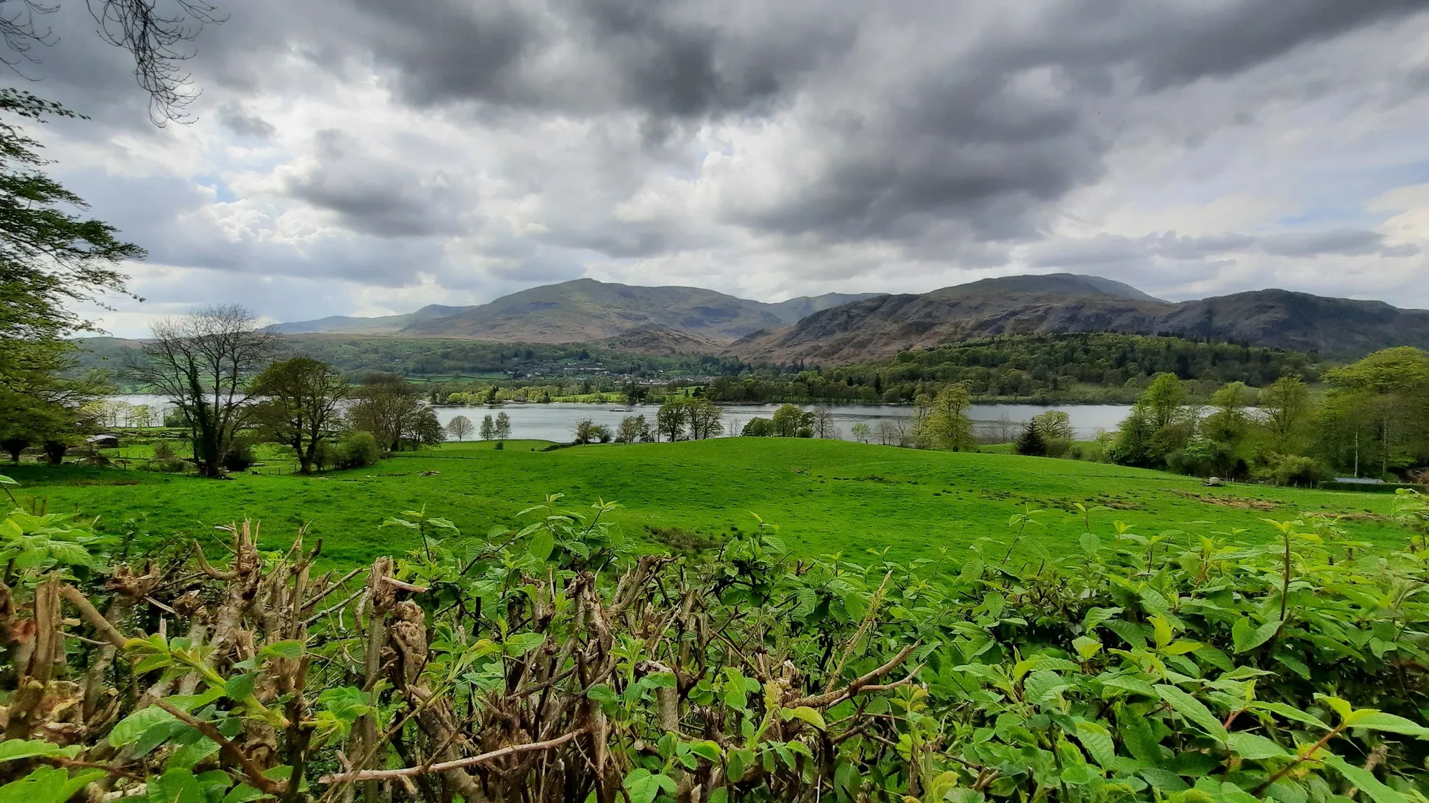 Roudsea Wood and Mosses National Nature Reserve — Place photograph