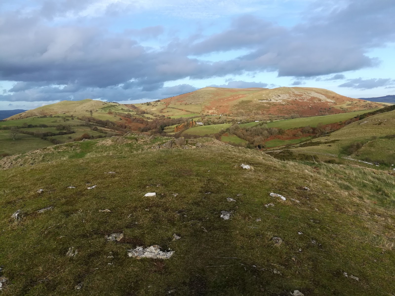 Roundton Hill National Nature Reserve — Place photograph