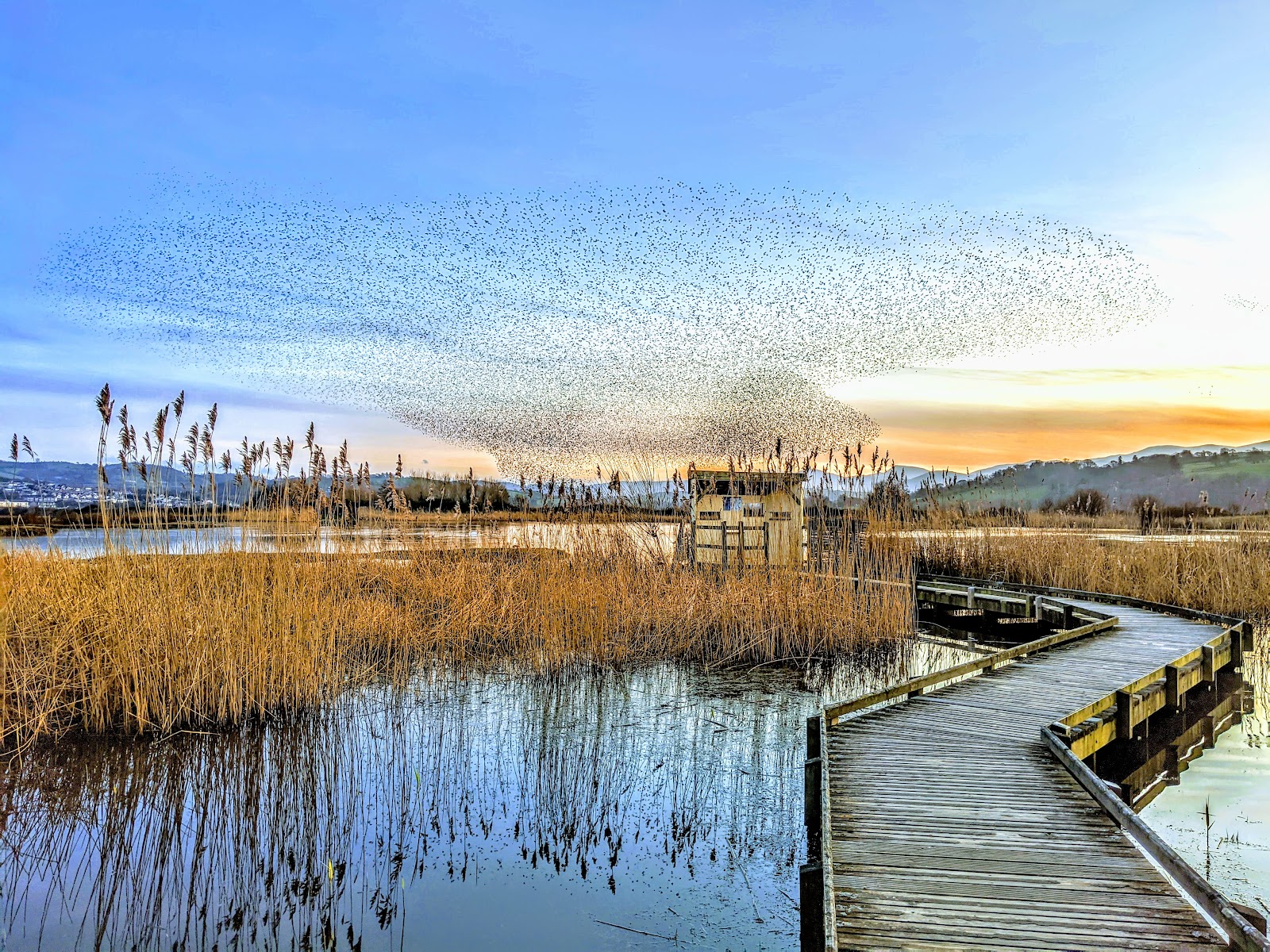 RSPB Conwy — Place photograph