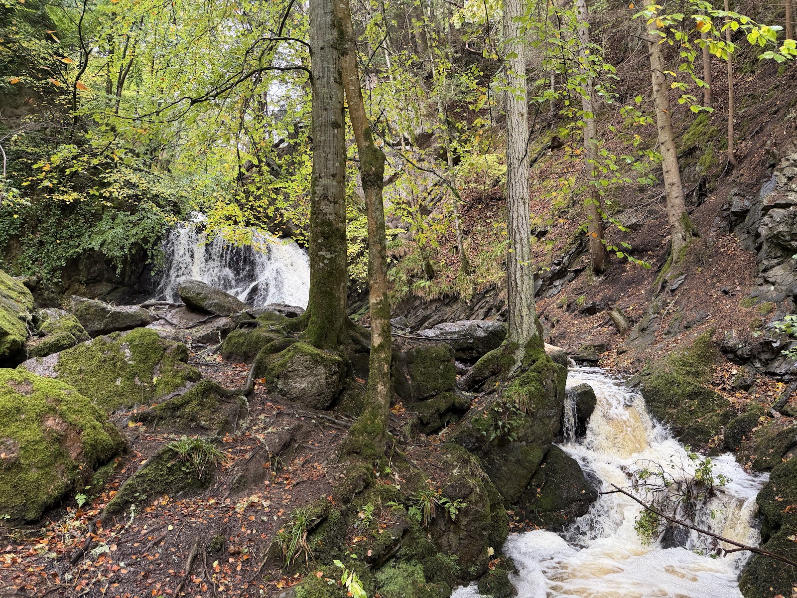 RSPB Fairy Glen — Place photograph