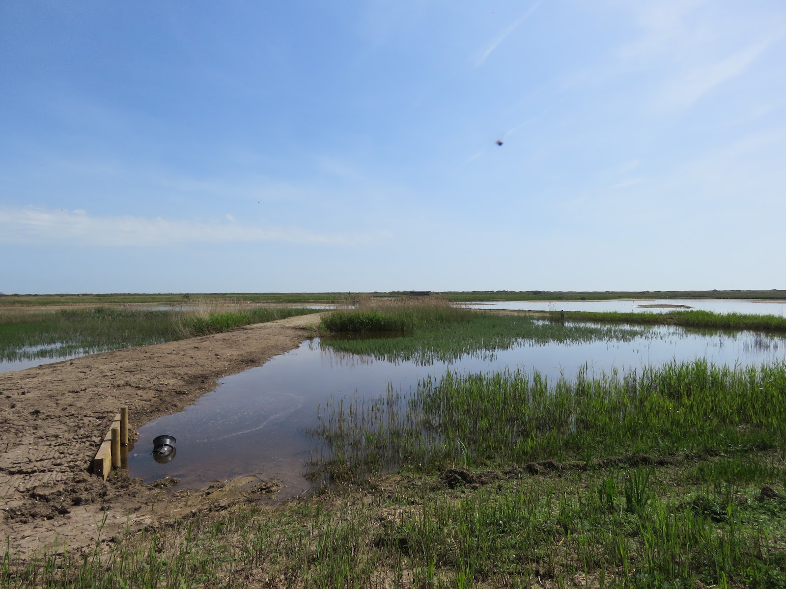 RSPB Minsmere — Place photograph