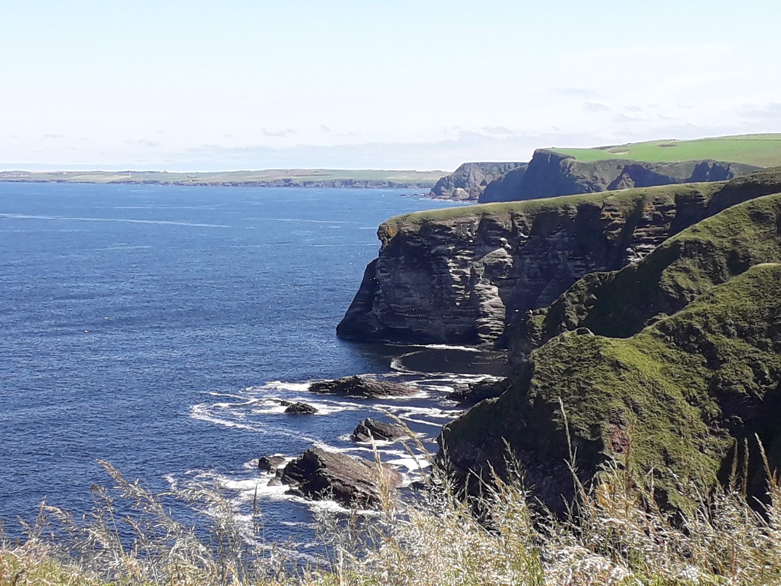 RSPB Scotland Troup Head — Place photograph