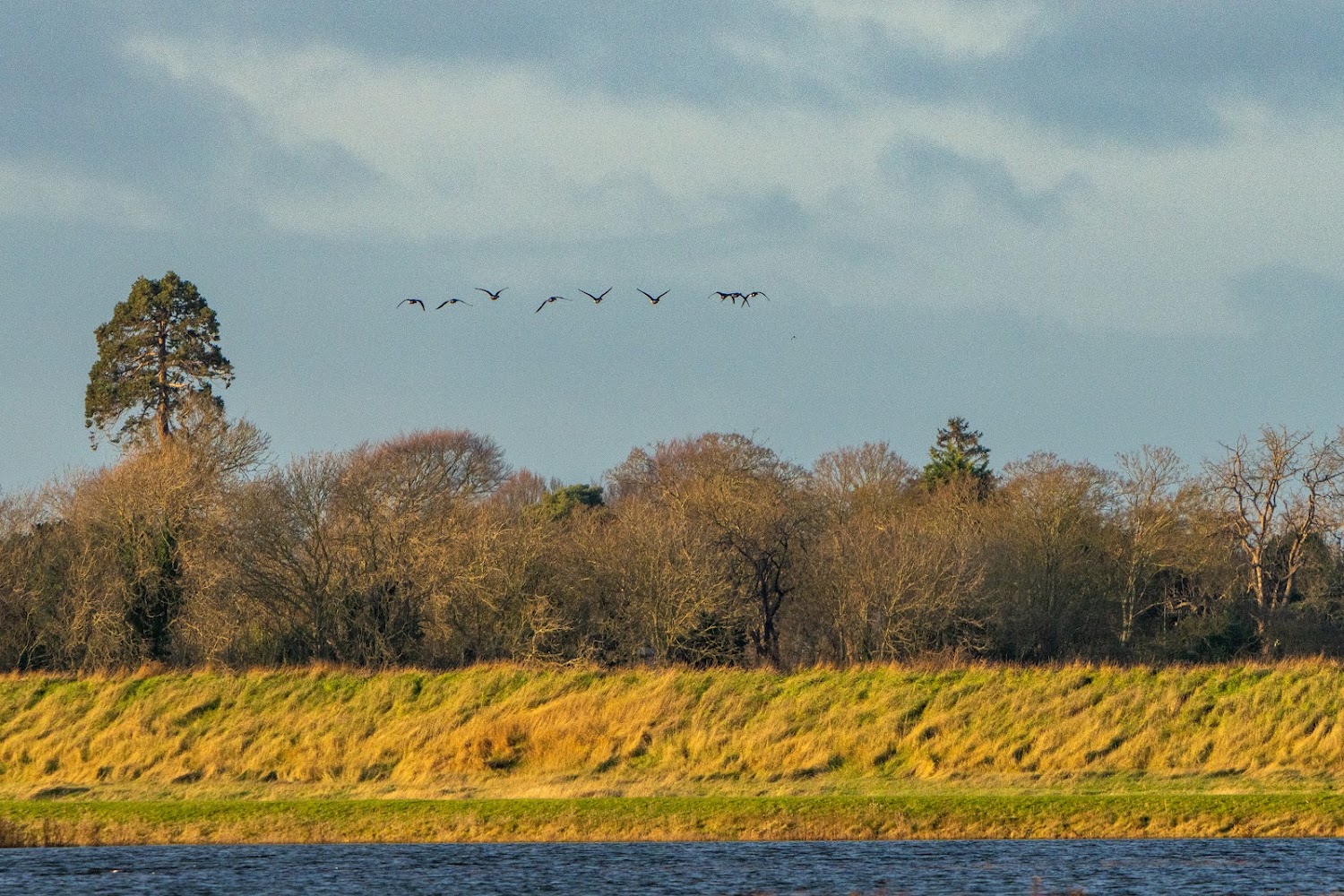RSPB Wallasea Island — Source image