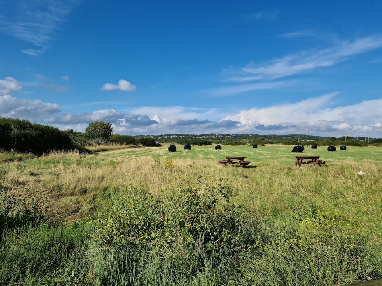 RSPB West Canvey Marsh — Source image