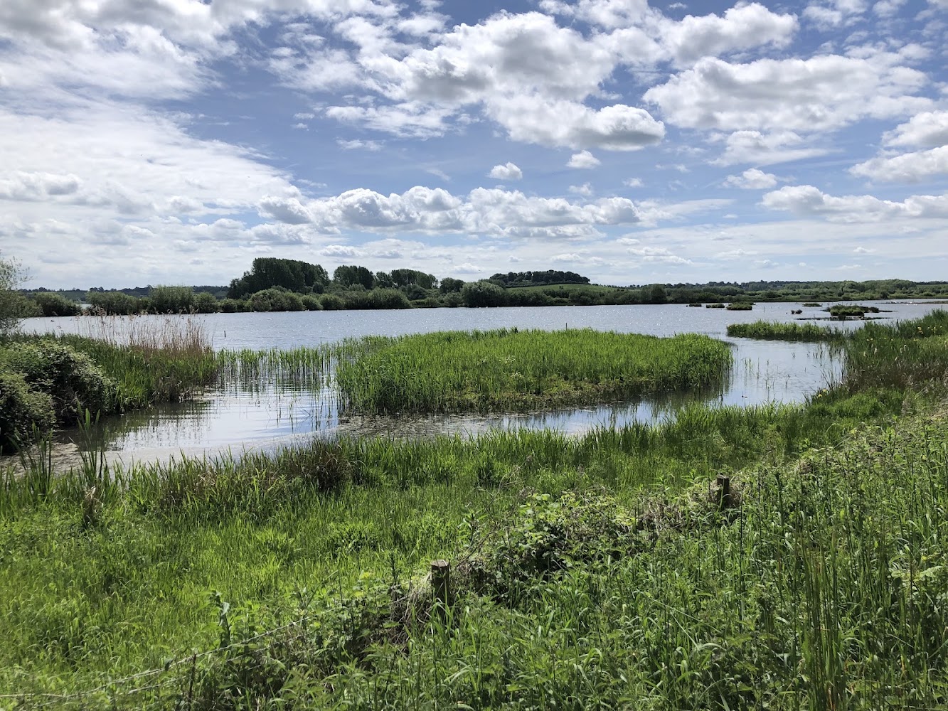 Rutland Water Nature Reserve — Source image
