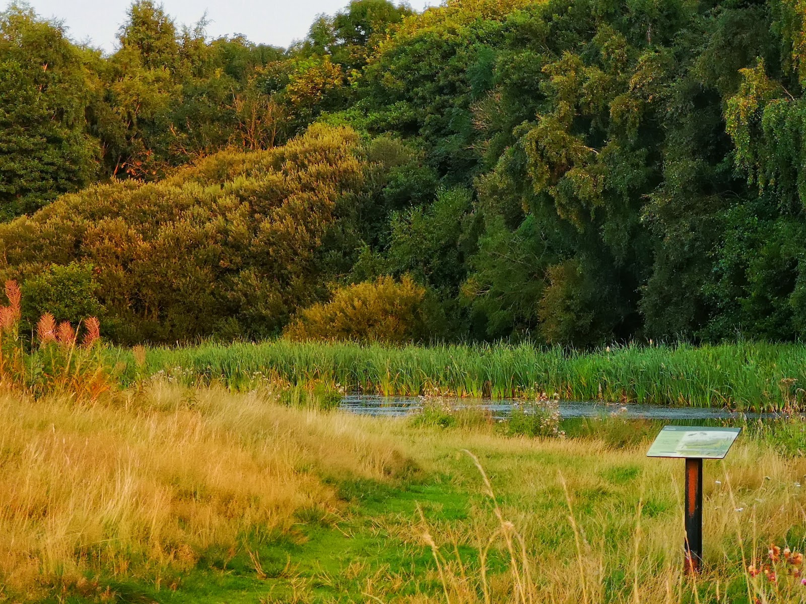 Ryton Willows — Place photograph