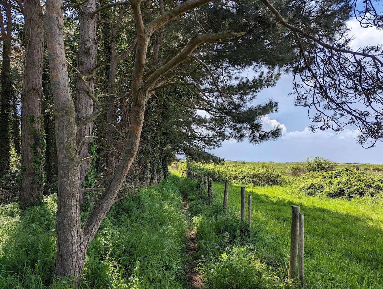 Sandwich and Pegwell Bay — Source image