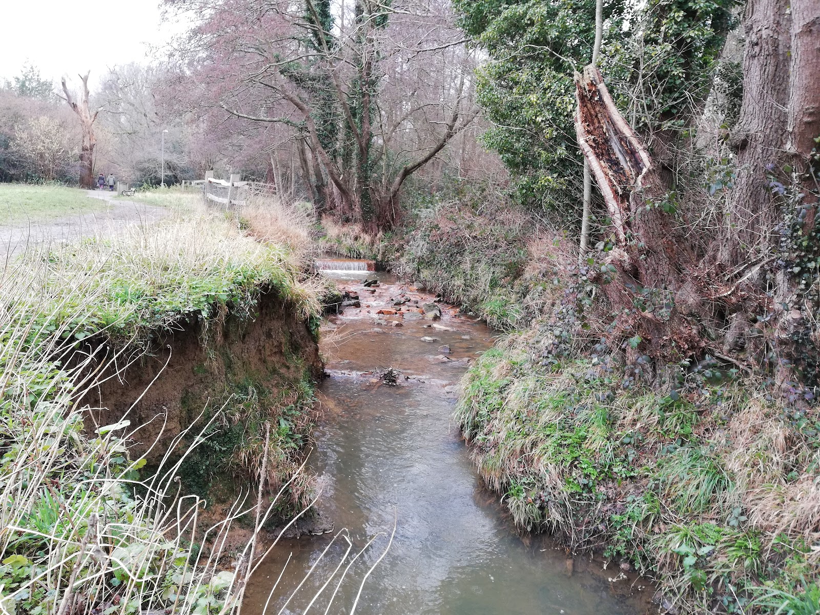 Scrase Valley Nature Reserve — Place photograph
