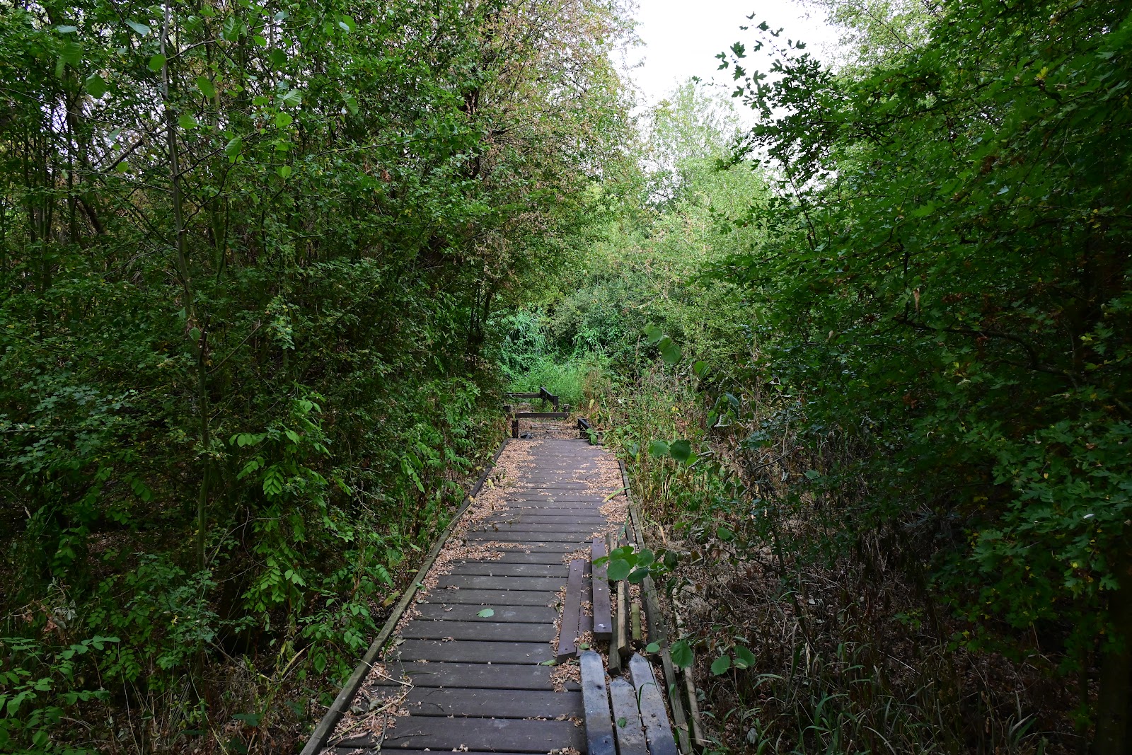 Severn Farm Pond Nature Reserve — Place photograph