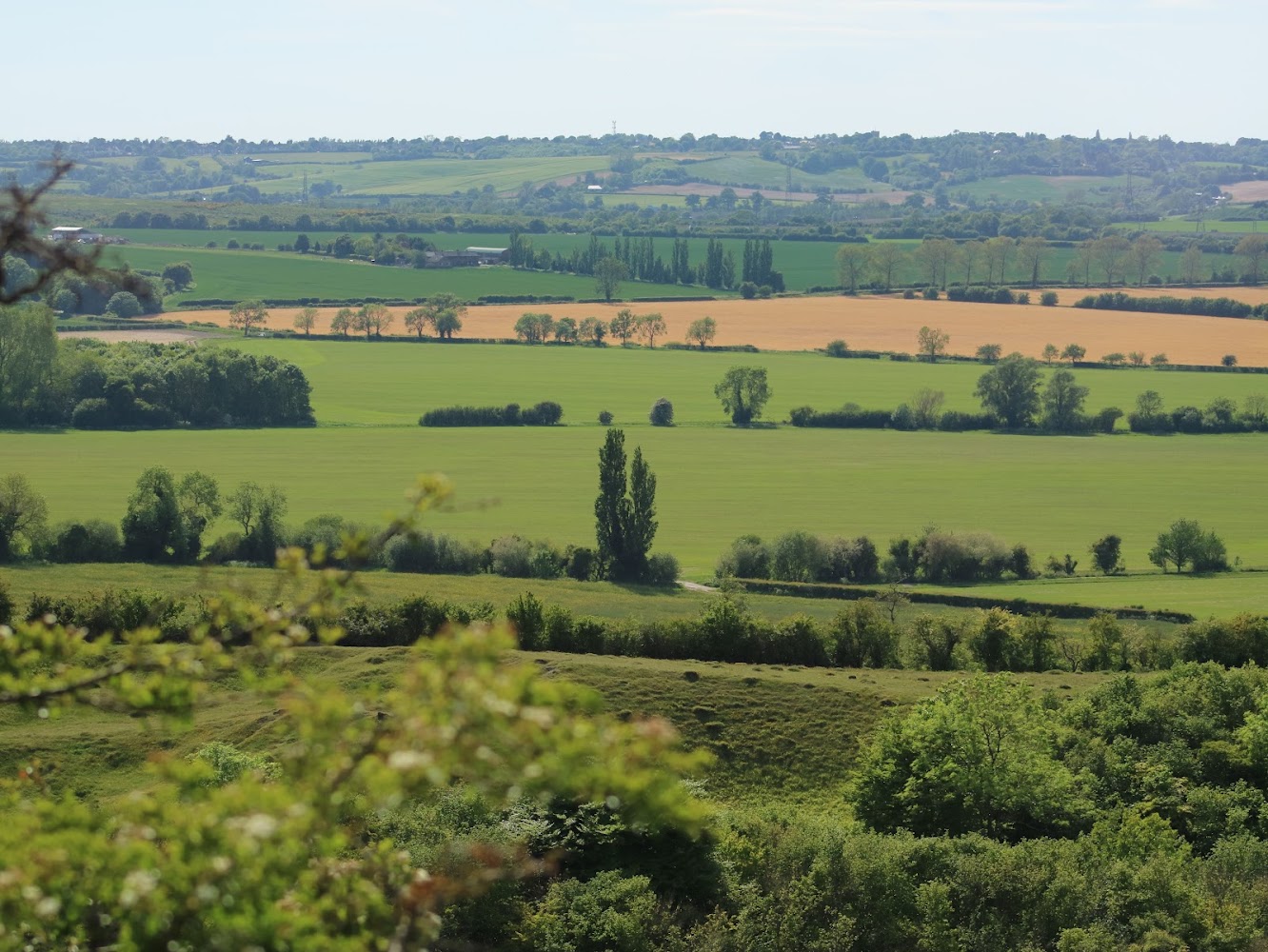 Sharpenhoe Clappers — Source image