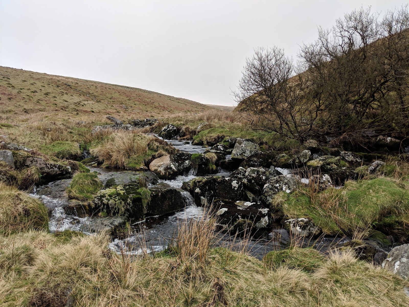 Shavercombe Brook and Waterfall — Place photograph