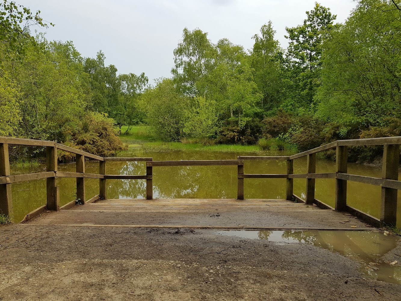 Shorne Woods Country Park — Source image