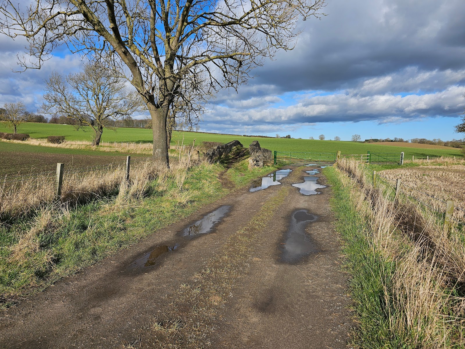 Skerningham Community Woodland — Place photograph