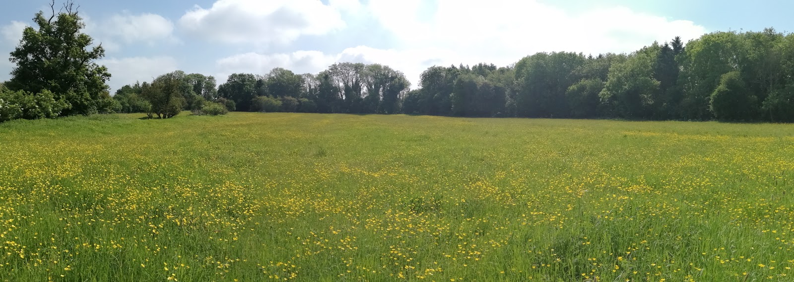 Southorpe Meadow — Place photograph