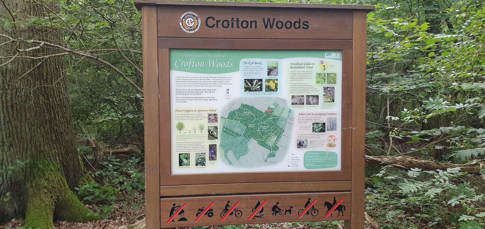 Sparrow Wood & Crofton Heath — Place photograph