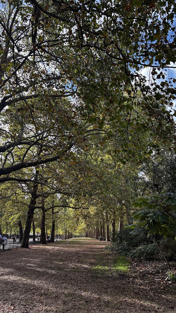 St James’s Park — Source image