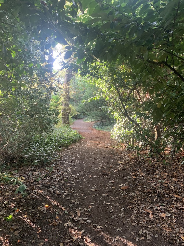 Stambourne Woodland Walk — Source image