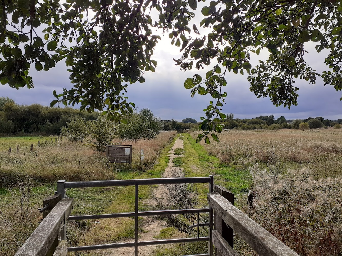 Staveley Nature Reserve — Source image