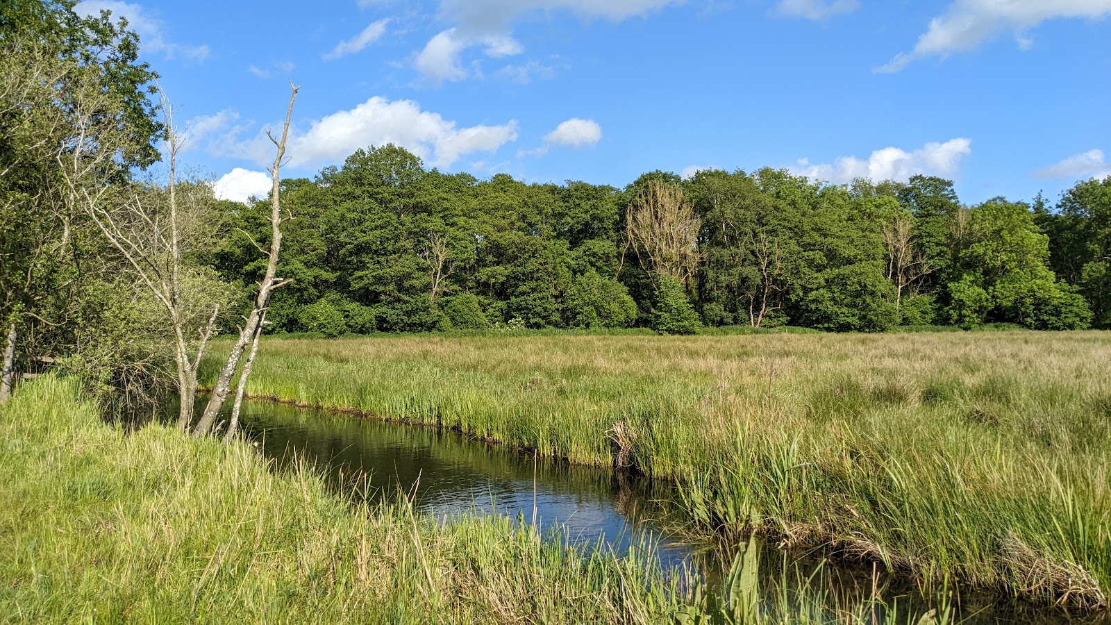 Strumpshaw Fen — Source image