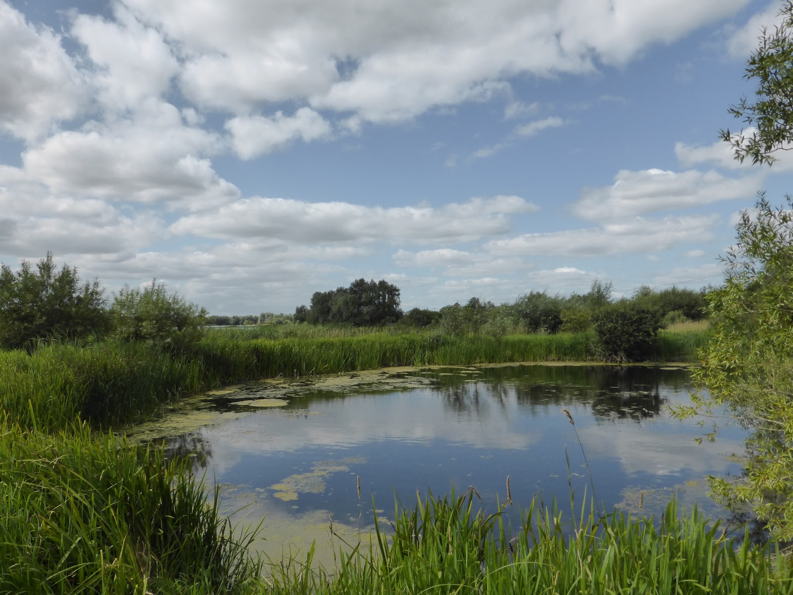 Summer Leys Nature Reserve — Place photograph