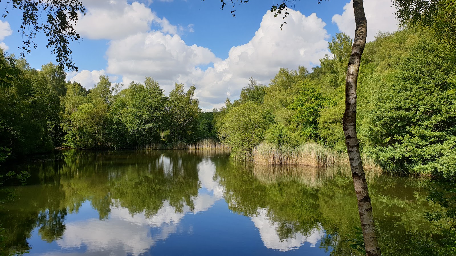 Swanwick Lakes Nature Reserve — Place photograph