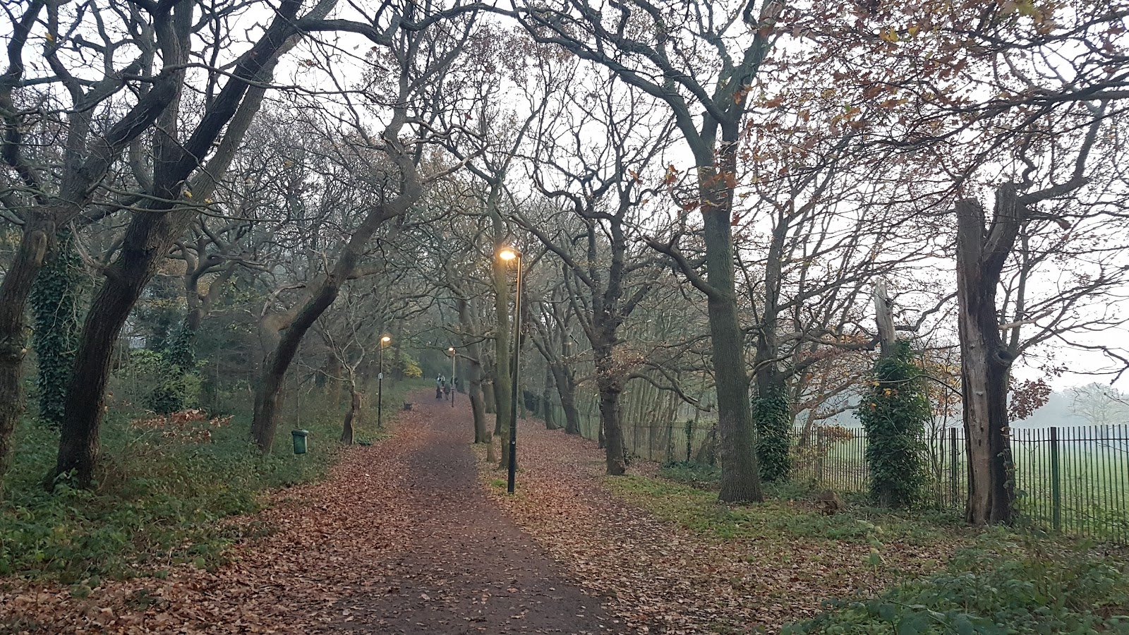 Sydenham Hill Wood — Source image