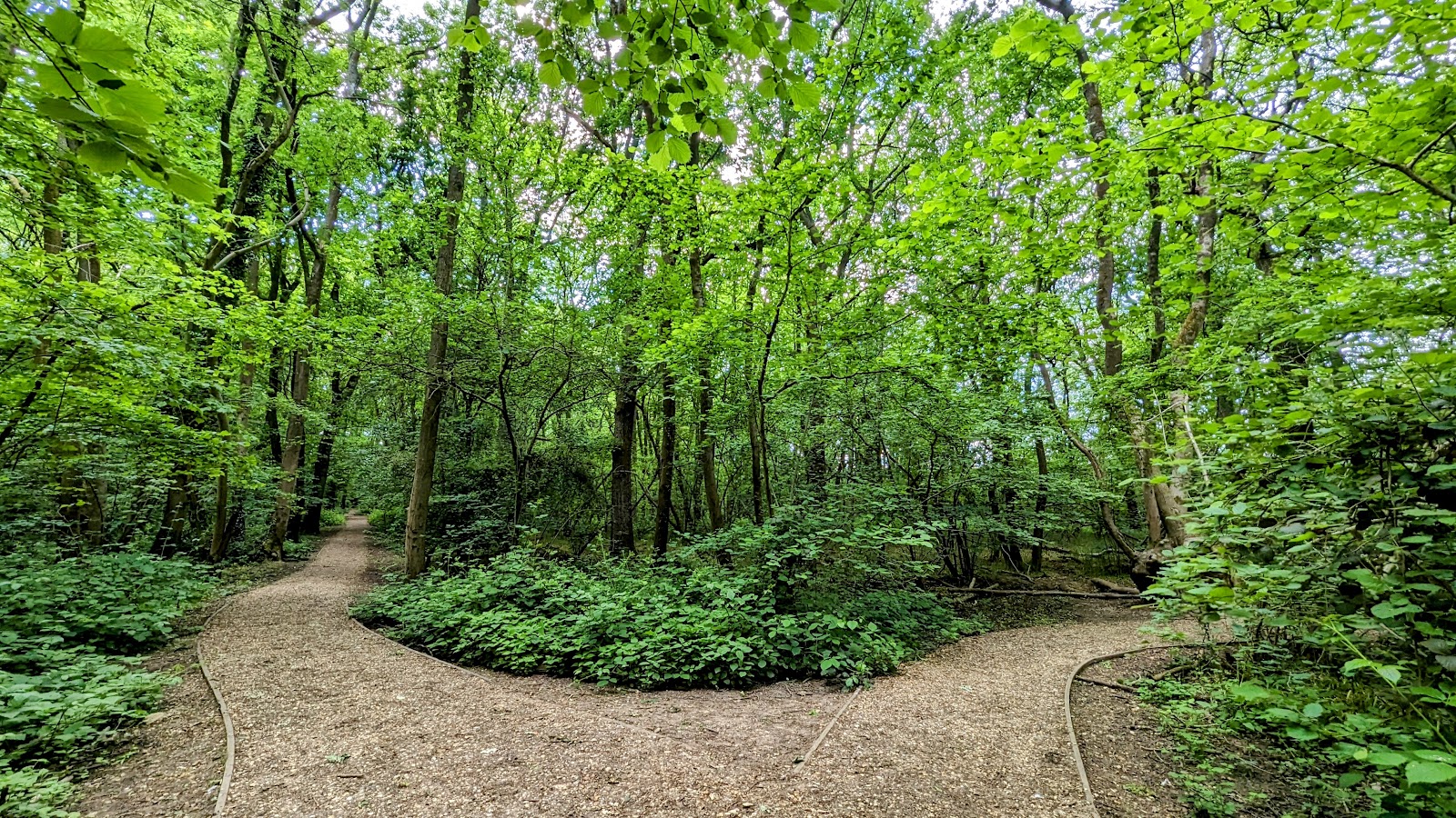 Tarman’s Copse — Place photograph