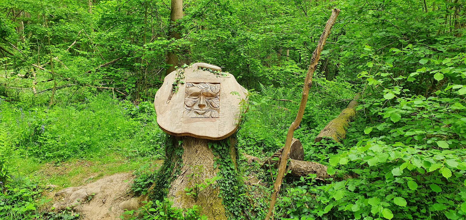 Tarman's Copse