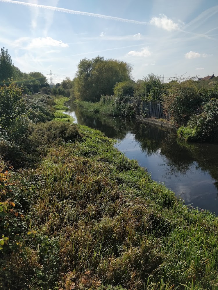 Thames Road Wetland — Source image