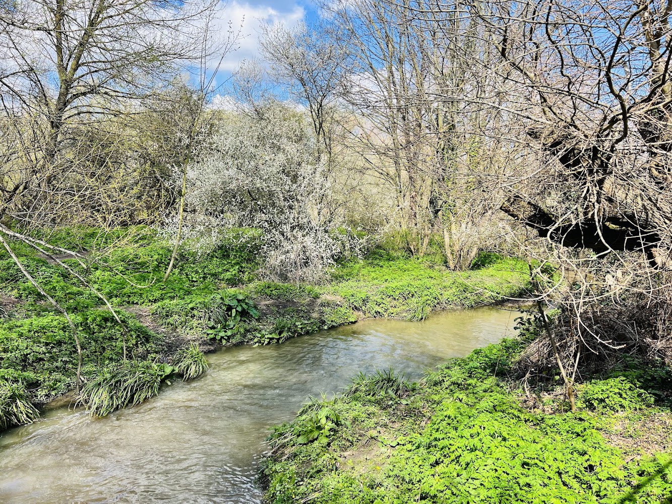The Chase Local Nature Reserve — Source image