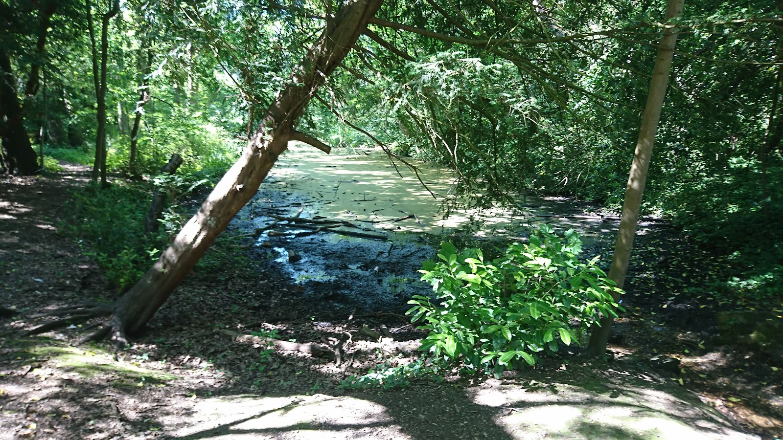 The Grove, London Wildlife Trust — Source image