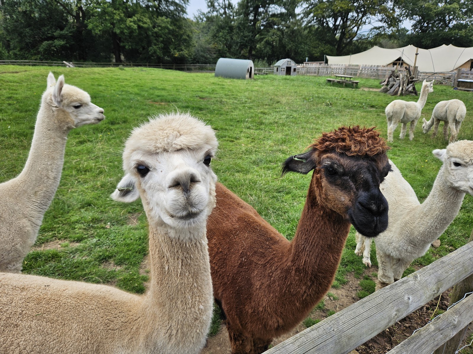 The Meadows Wildlife Park — Place photograph