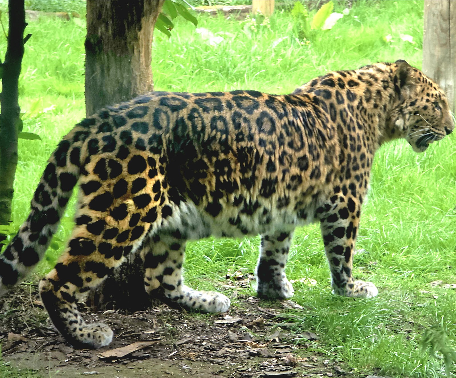 The Nature Reserve at Twycross Zoo — Place photograph