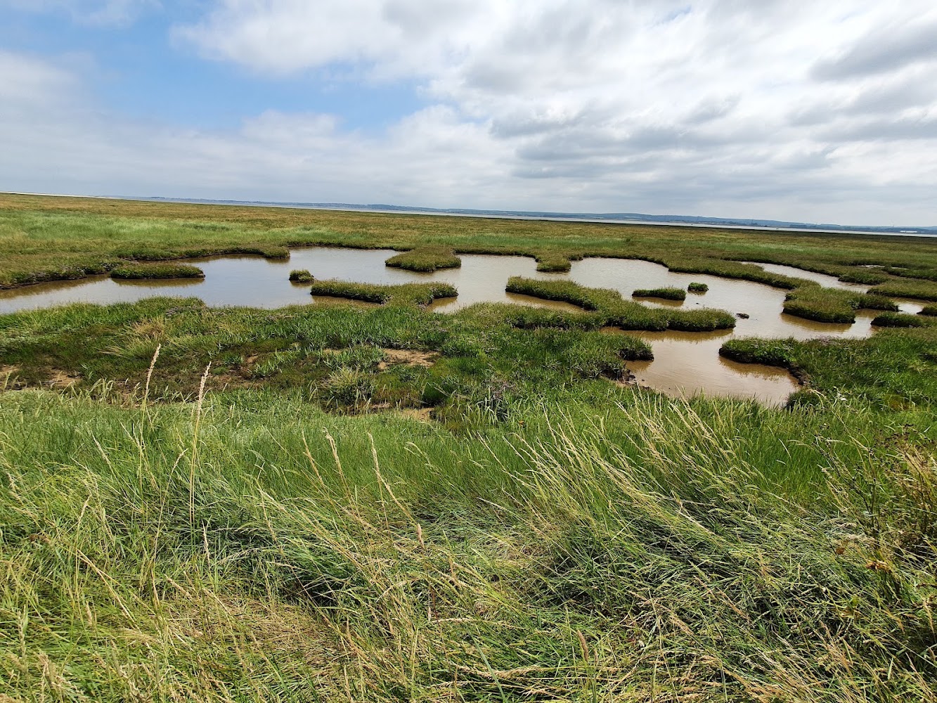 The Swale National Nature Reserve — Source image