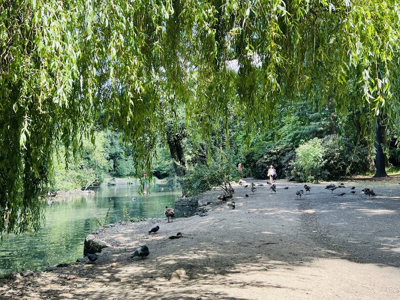 The Tarn Bird Sanctuary — Source image