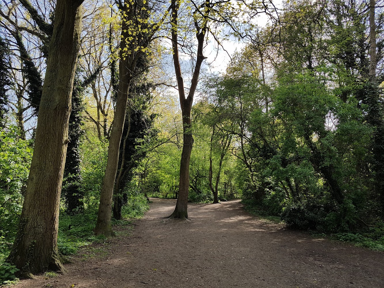 The Wick Local Nature Reserve — Source image