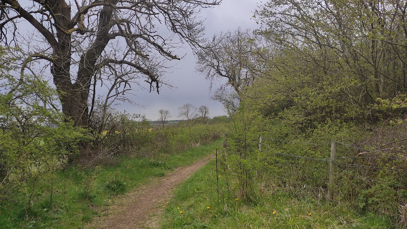 Thrislington National Nature Reserve — Source image