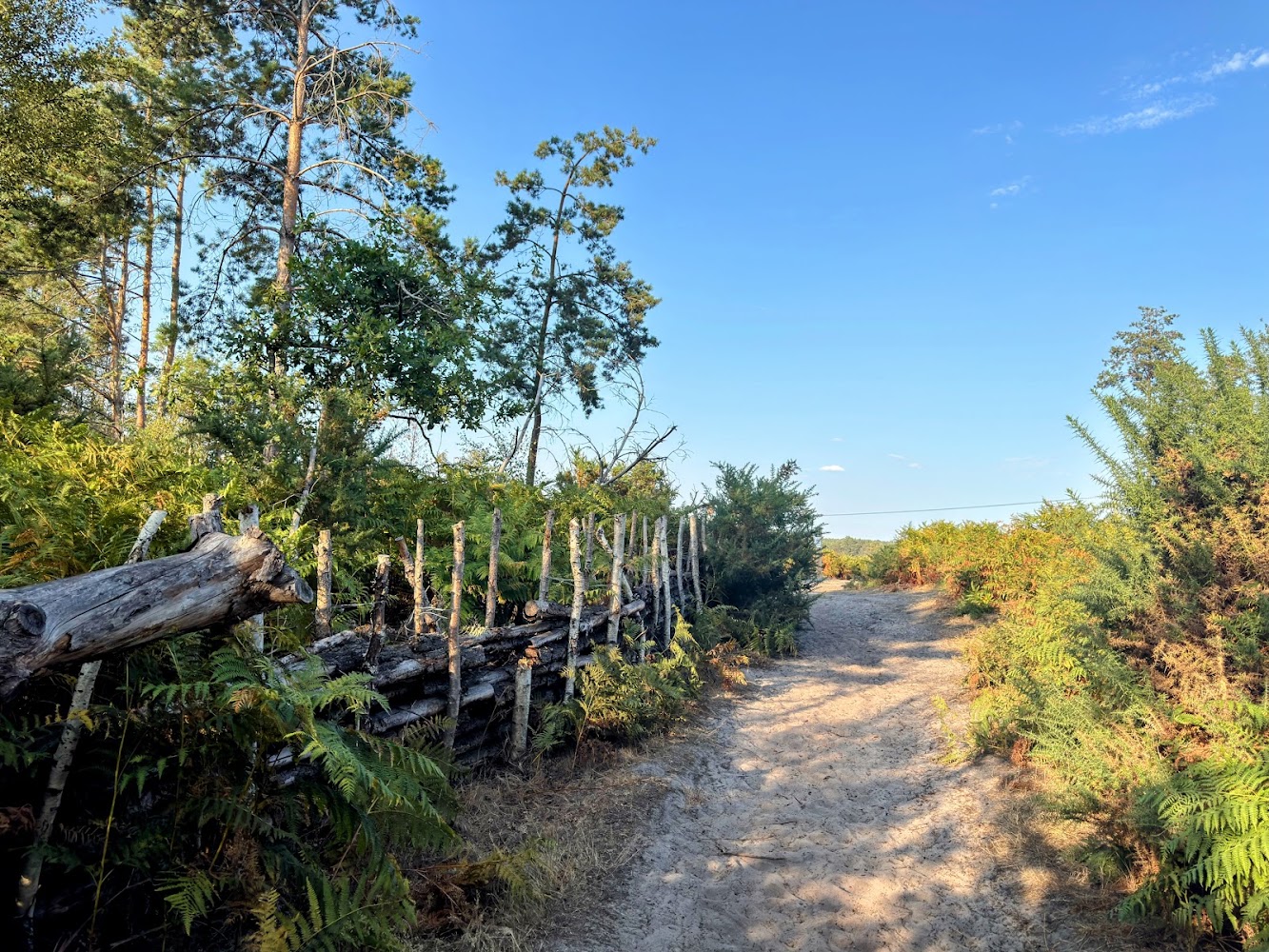 Thursley National Nature Reserve — Source image